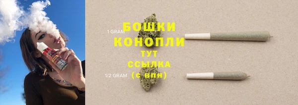 apvp Богданович