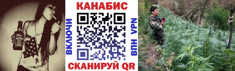 где купить наркоту  Вязьма  Конопля VHQ 
